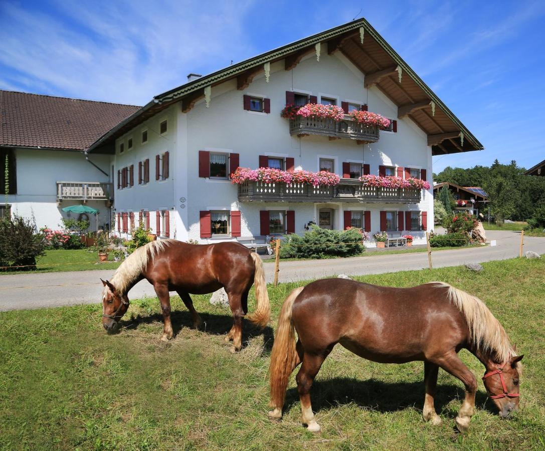 Heutauer Hof Villa Siegsdorf Luaran gambar